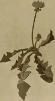 An illustration from Keramic studio (1899)