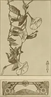 An illustration from Keramic studio (1899)