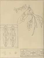 An illustration from Keramic studio (1899)