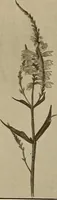 An illustration from Keramic studio (1899)