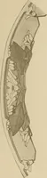 An illustration from Keramic studio (1899)