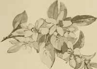 An illustration from Keramic studio (1899)
