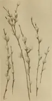 An illustration from Keramic studio (1899)
