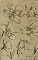 An illustration from Keramic studio (1899)