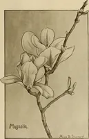 An illustration from Keramic studio (1899)