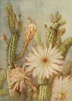 An illustration from Keramic studio (1899)