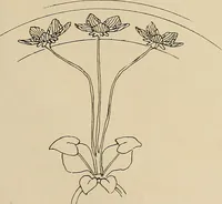 An illustration from Keramic studio (1899)