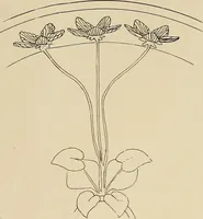 An illustration from Keramic studio (1899)