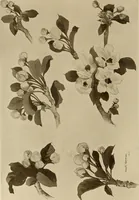 An illustration from Keramic studio (1899)