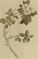 An illustration from Keramic studio (1899)
