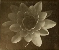 An illustration from Keramic studio (1899)
