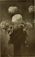 An illustration from Keramic studio (1899)