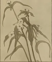 An illustration from Keramic studio (1899)