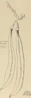 An illustration from Keramic studio (1899)