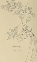 An illustration from Keramic studio (1899)
