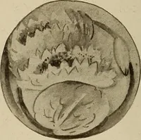 An illustration from Keramic studio (1899)