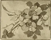 An illustration from Keramic studio (1899)