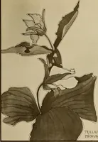 An illustration from Keramic studio (1899)