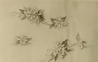 An illustration from Keramic studio (1899)