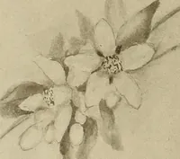 An illustration from Keramic studio (1899)