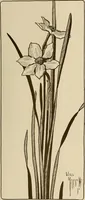 An illustration from Keramic studio (1899)