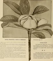 An illustration from Keramic studio (1899)