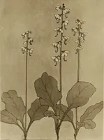 An illustration from Keramic studio (1899)