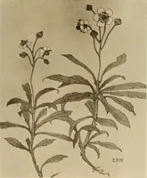 An illustration from Keramic studio (1899)