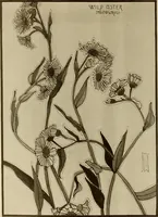 An illustration from Keramic studio (1899)