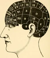 An illustration from Key to phrenology (1890)