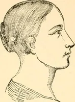 An illustration from Key to phrenology (1890)