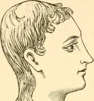 An illustration from Key to phrenology (1890)