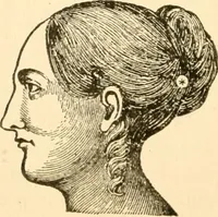 An illustration from Key to phrenology (1890)