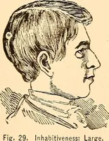 Picture 28 of 62 from Key to phrenology (1890), leaf 88