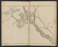 An illustration from Kihō gafu : zen (1827)