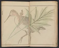 An illustration from Kihō gafu : zen (1827)