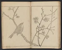 An illustration from Kihō gafu : zen (1827)