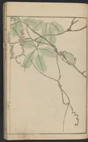 An illustration from Kihō gafu : zen (1827)