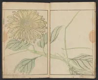 An illustration from Kihō gafu : zen (1827)