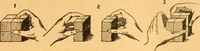 Picture 149 of 277 from The kindergarten; (1891), leaf 122