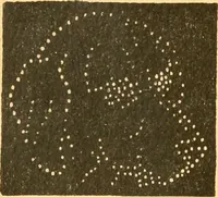 An illustration from The kindergarten; (1891)