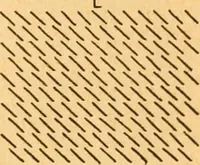 An illustration from The kindergarten; (1891)