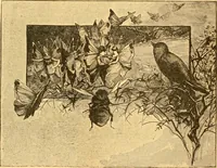 An illustration from The kindergarten; (1891)
