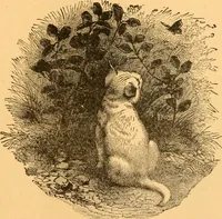An illustration from The kindergarten; (1891)