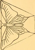 An illustration from The kindergarten; (1891)
