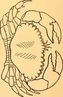 An illustration from The kindergarten; (1891)