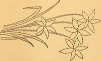 An illustration from The kindergarten; (1891)