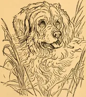 An illustration from The kindergarten; (1891)