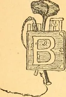 An illustration from The kindergarten; (1891)