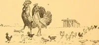An illustration from The kindergarten; (1891)